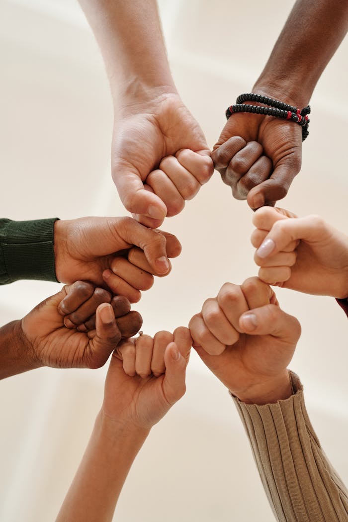 Services Hands of diverse people fist bumping, symbolizing unity and teamwork.